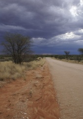 Namibie Botswana - Sur la route